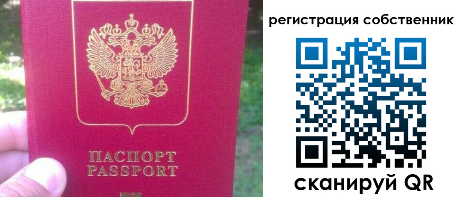 временная регистрация 2025 в Завитинске